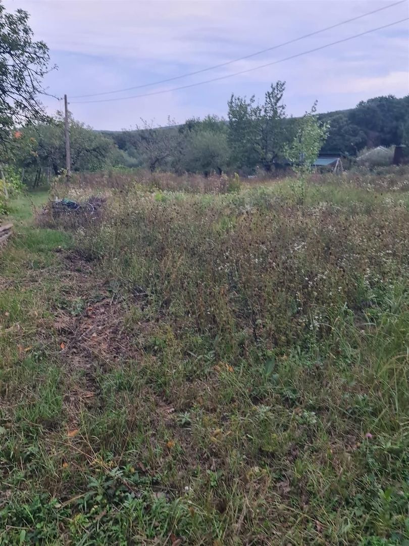 Teren Gheoghe Doja - Poză 2