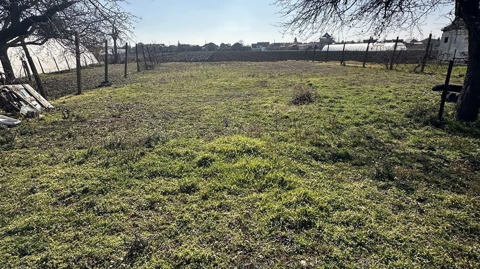 Casa P+1E cu teren de 1750 MP Bors - Poză 4