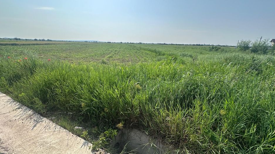 VÂNZARE TEREN MATRACA - Poză 2