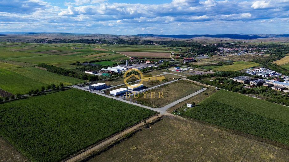 Teren intravilan cu PUZ aprobat pt hale industriale- Zona Sura Mica - Poză 1