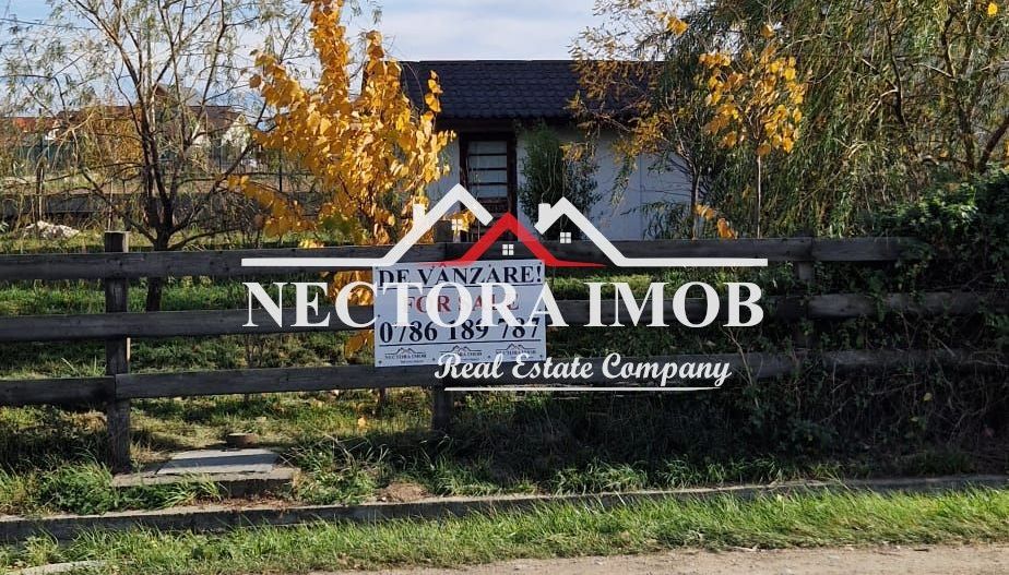 NECTORA IMOB-Centru medical multifunctional Osorhei E60, 1000 mp teren - Poză 2