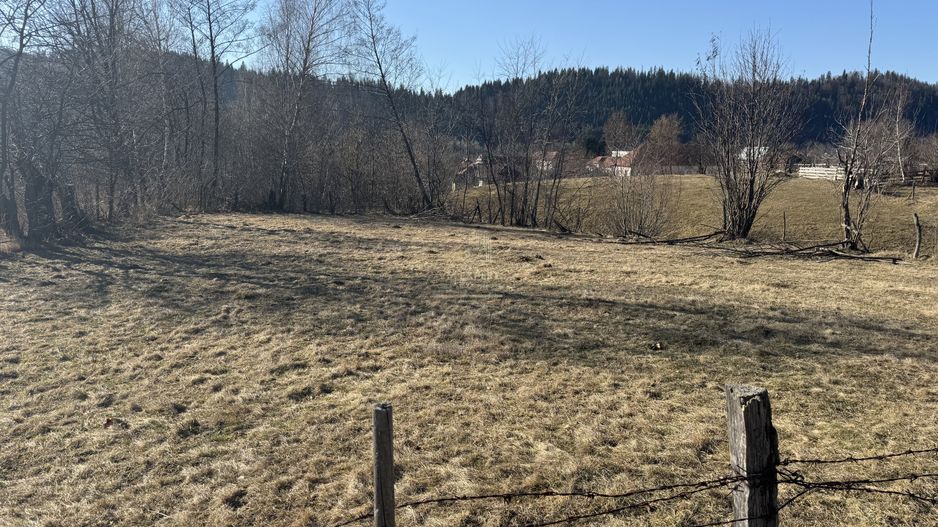 TEREN  INTRAVILAN 700 MP, LERESTI, ARGES - Poză 1