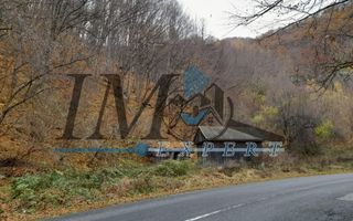Teren extravilan direct la șoseaua TRANSALPINA - Poză 2