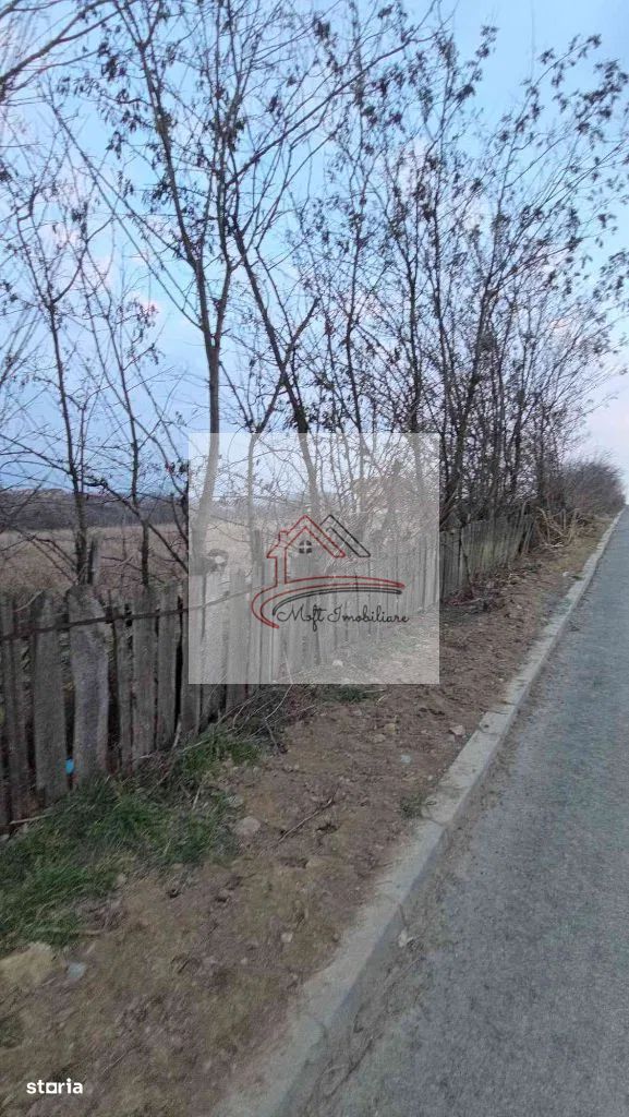 Teren intravilan Mineri ! 28,99 euro/mp ! - Poză 2