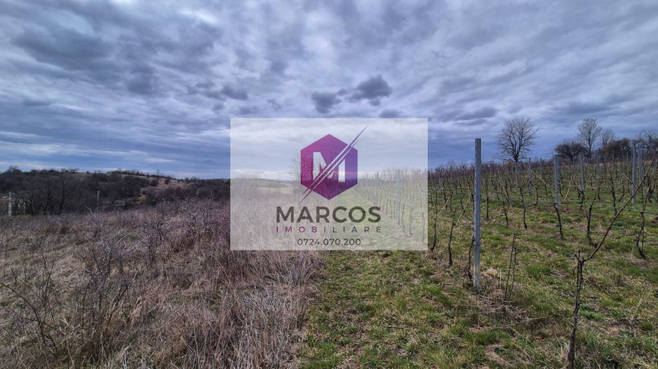 Vand 2 parcele de 5700 mp zona Iabalcea - Poză 1