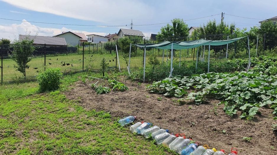 Teren INTRAVILAN 730 mp, zona FILATURII - Silver Mall; - Poză 5