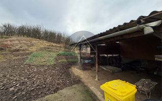 Casa 3 camere, Medias - Poză 19