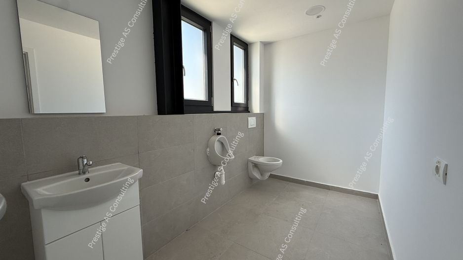 Hala industriala premium | 611 mp depozit + 314 mp birouri | Ghiorda- zona Jumbo - Poză 11
