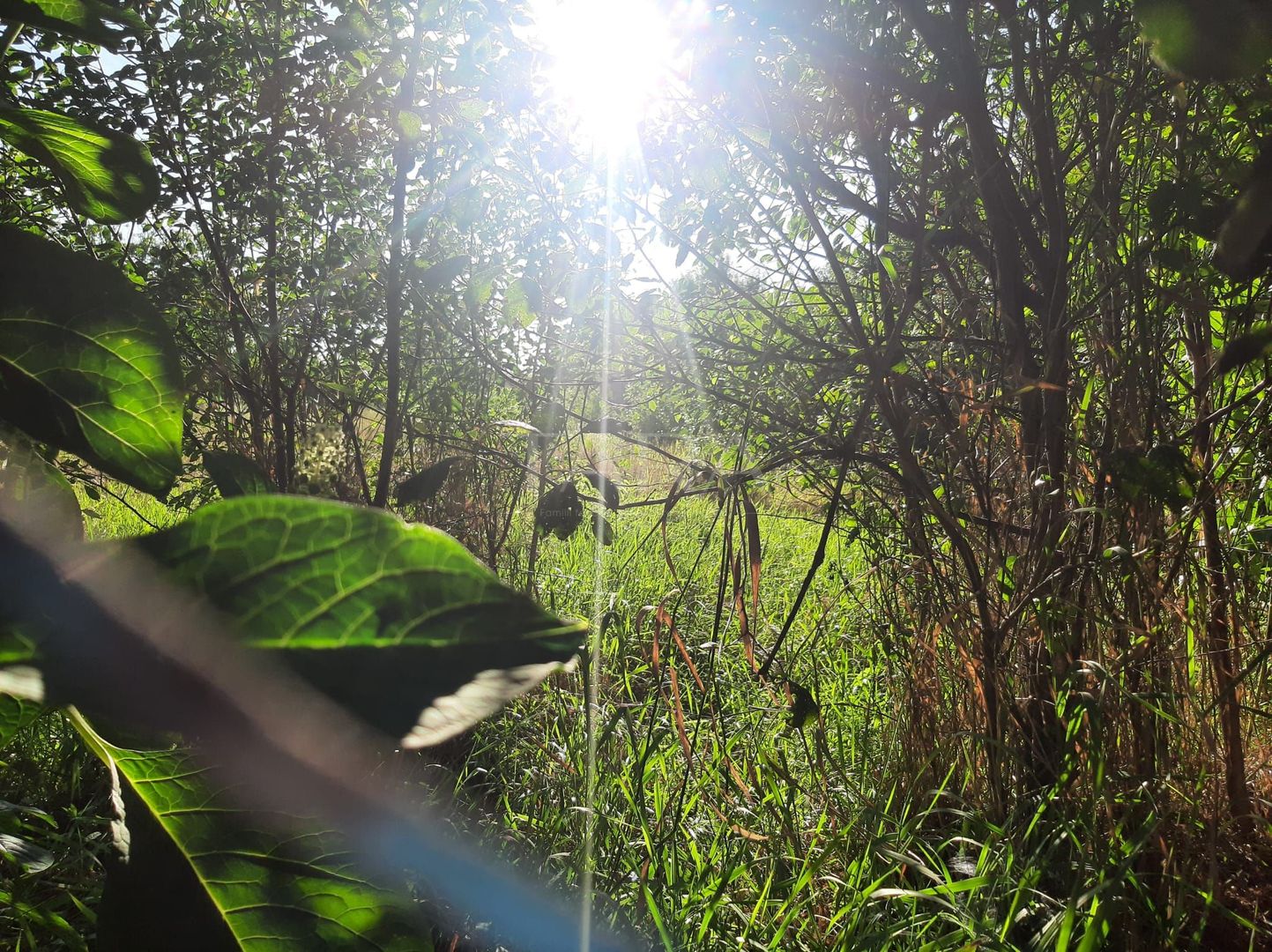 Exclusivitate! Casa în Zona Dâmbul Rotund, 3046mp teren. - Poză 3