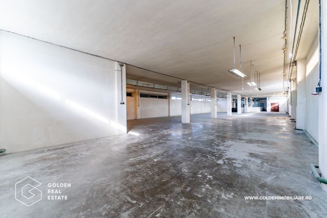 Hala pentu productie In zona Micalaca - Poză 25