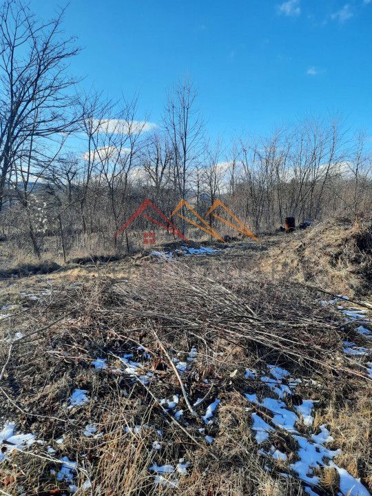 Teren intravilan 2077 m2, platou cu panorama, toate utilitatile, 23EUR - Poză 8