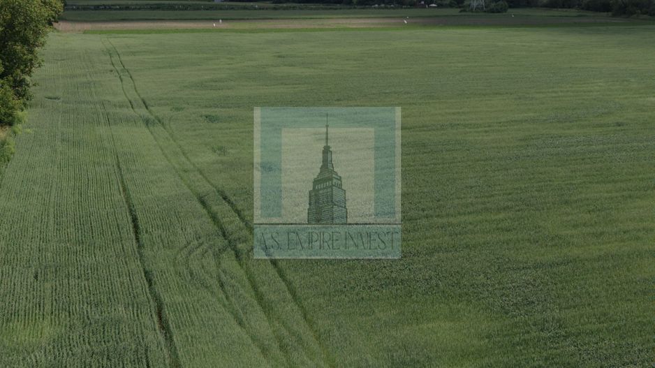 Teren intravilan 50000 mp, cu PUZ, Aprobat - zona Halchiu/Codlea - Poză 7