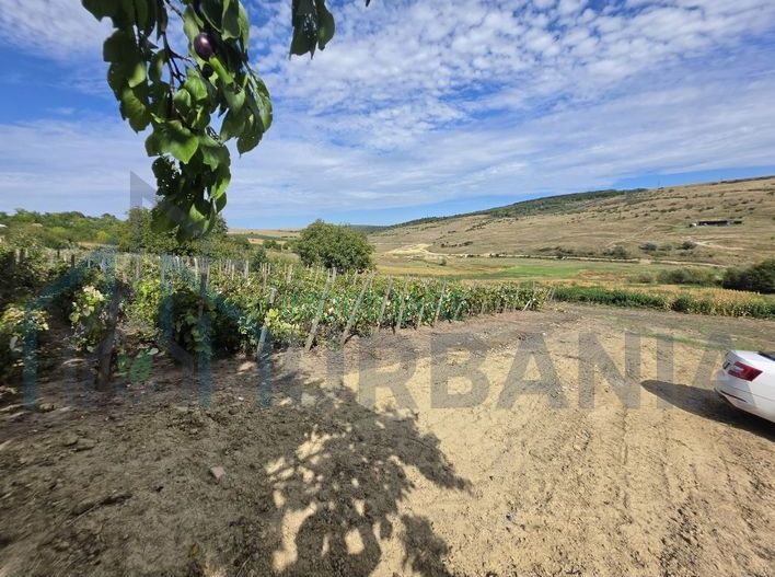Teren extravilan parcelabil de 9.300 mp în Dorobanți/Aroneanu, aproape de Baza Nautică - Poză 5