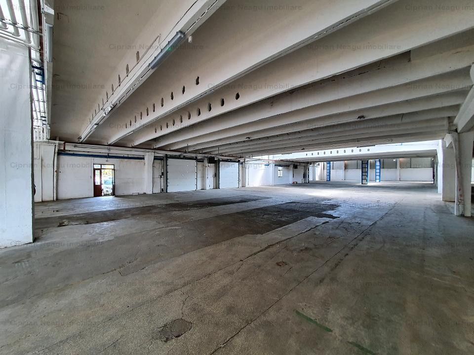 Hala De Inchiriat, zona Depozitelor Pitesti - Poză 21