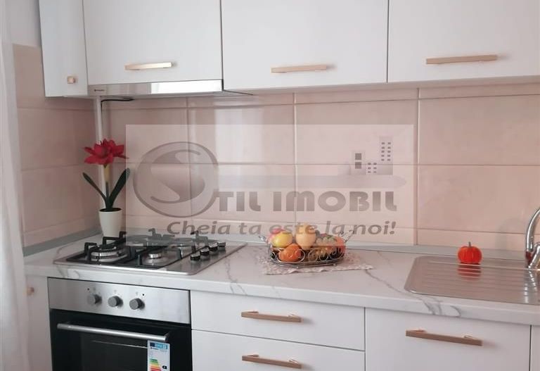 Apartament 2 camere - Zona Nicolina  -  450 Euro - Poză 11