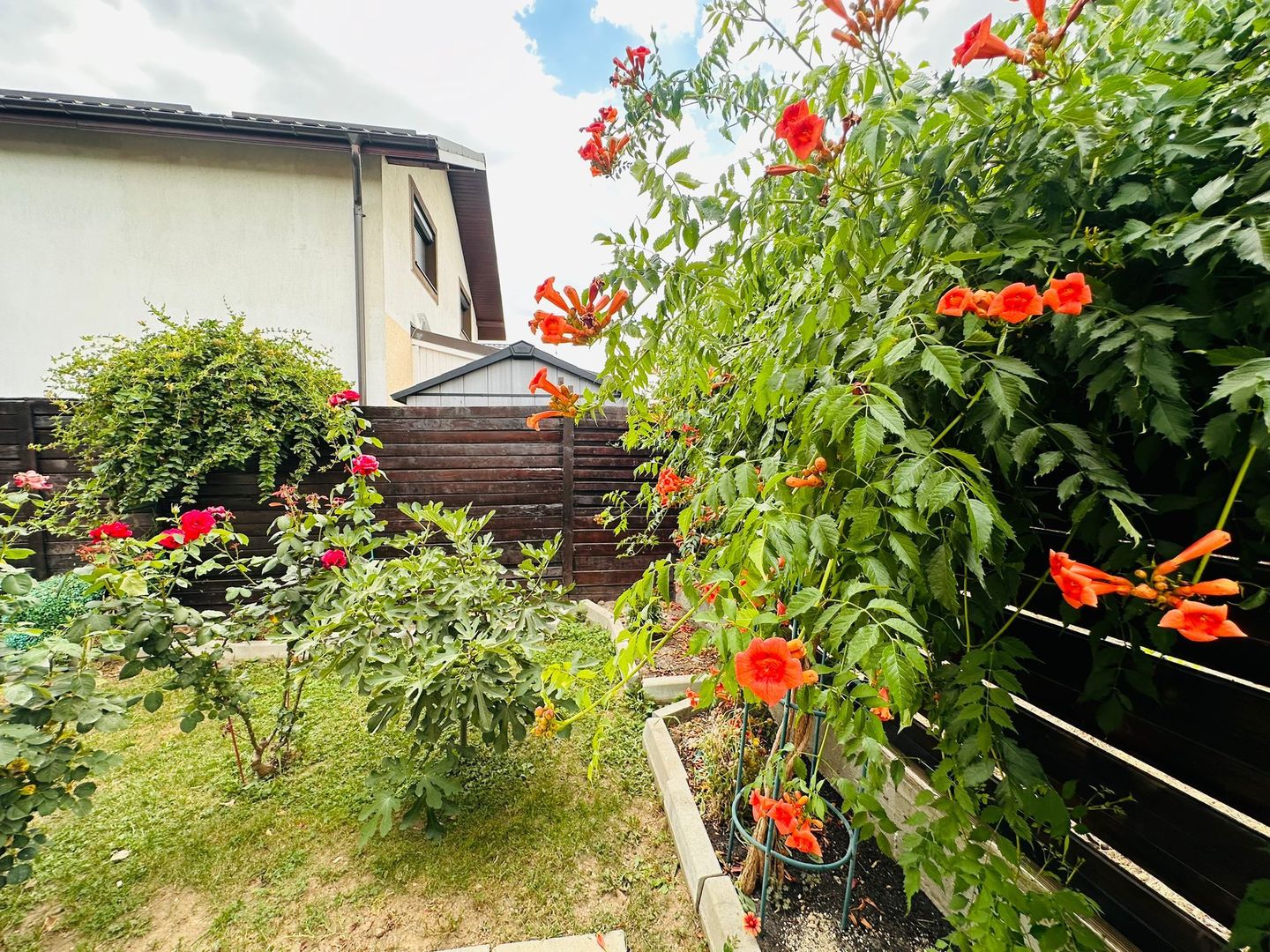 Parter cu structură pentru etaj, curte amenajată și organizare impeca - Poză 18