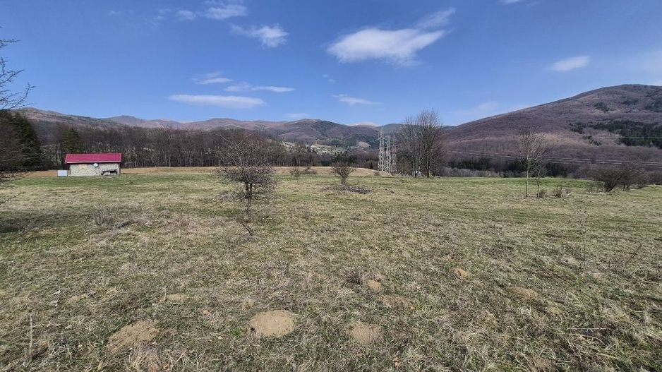 Teren intravilan la baza pădurii Valea Doftanei sat Traisteni (poduri) - Poză 1