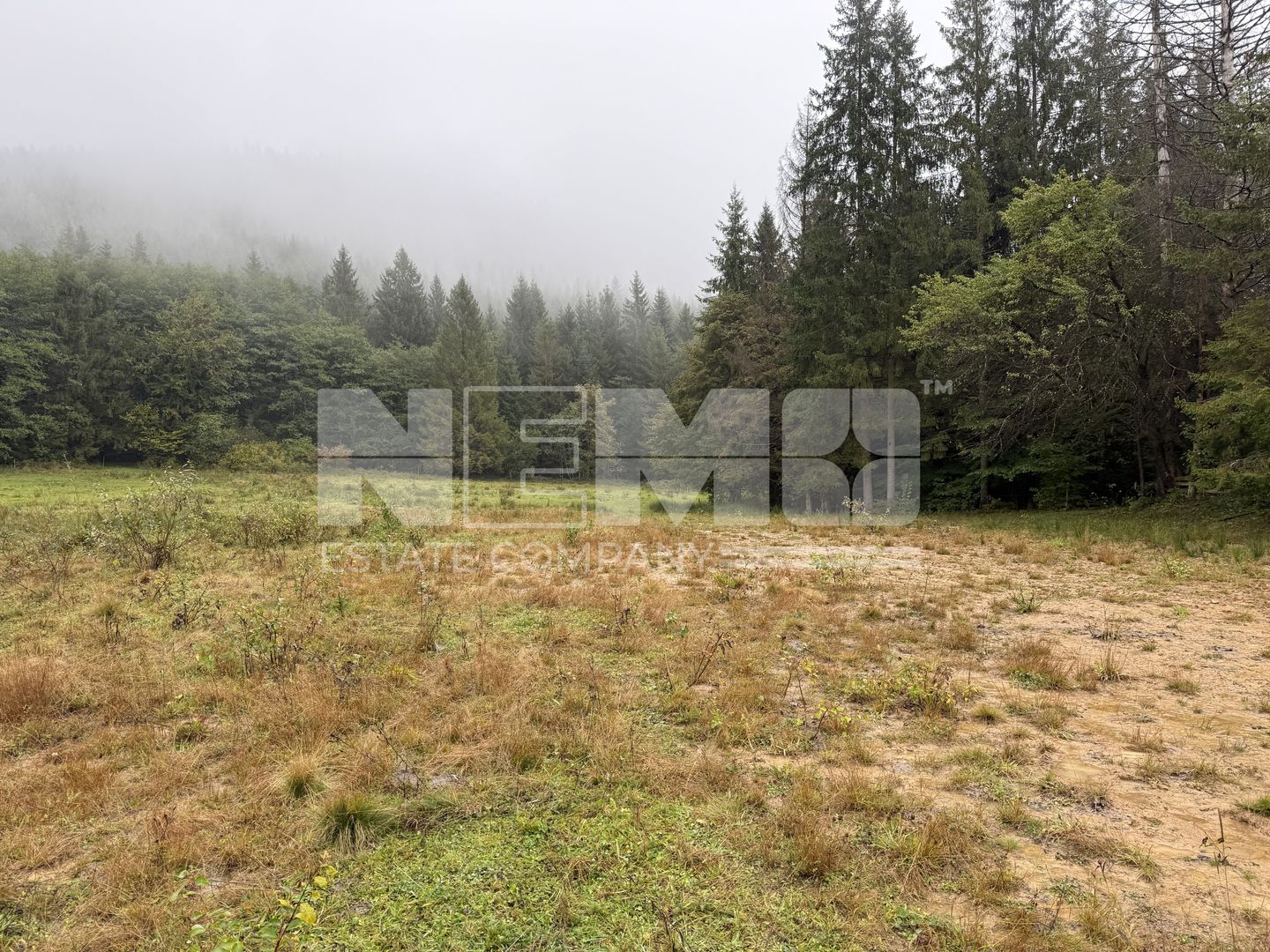 Teren Extravilan | 6.100 mp | Brodina | 41.500 € negociabil - Poză 8