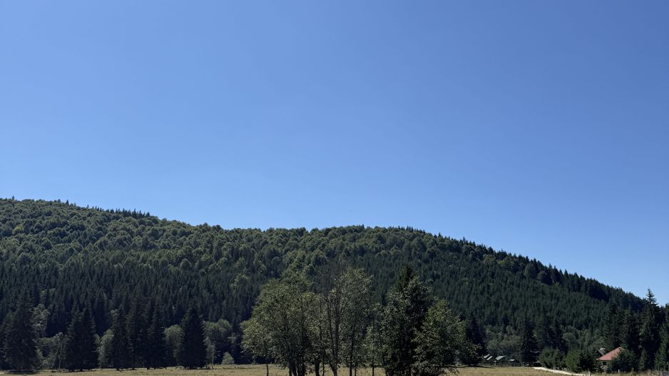 SUPER OCAZIE  - Teren intravilan, COMANDAU-PUZ case de vacanta. - Poză 10