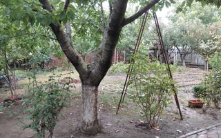 Casă Spațioasă P+1+M, 265 mp Utili, 1000 mp Teren – Toate Utilitățile, Vânători - Poză 38