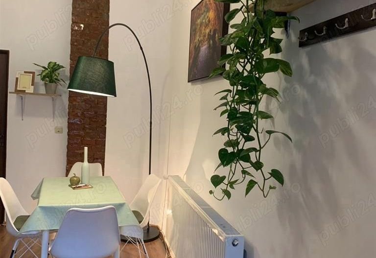 Apartament 1 camera Ultracentral etaj 1 cu centrala - Poză 6