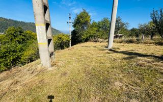 TEREN INTRAVILAN 3234 MP LEREȘTI VOINEȘTI ARGEȘ - Poză 19