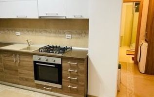 Apartament cu 2 camere decomandate zona Vivo - Poză 3