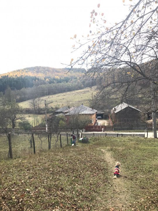 Vanzare teren intravilan cu utilitati trase, Babana - Poză 7