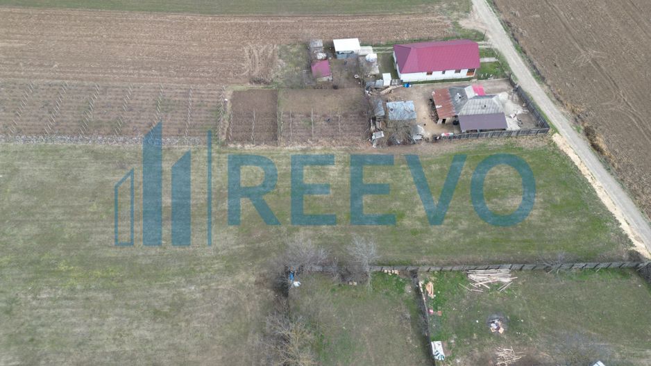 Teren de vânzare, Sat Bazga, Com. Horgești, Bacău - Poză 10