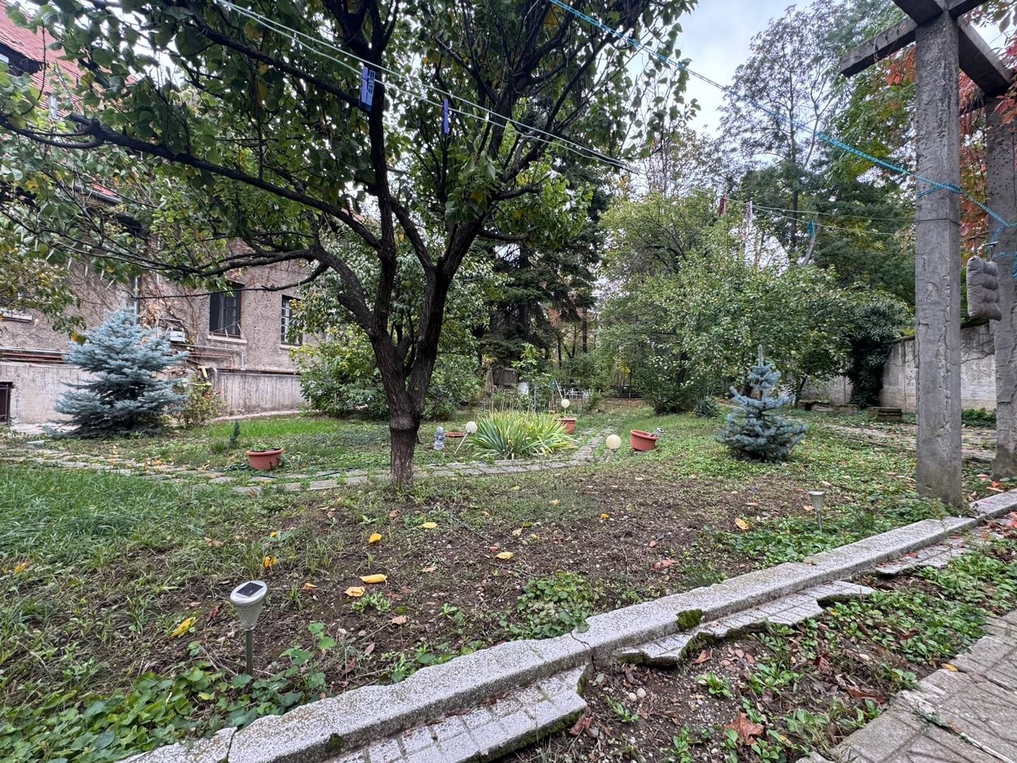 3 CAMERE || Kiseleff - Poză 27