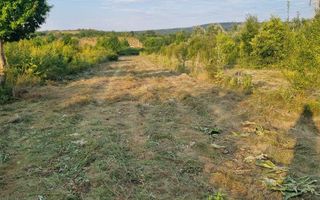 Teren intravilan 4.000 mp în sat Curături, comuna Ciurea - Poză 3