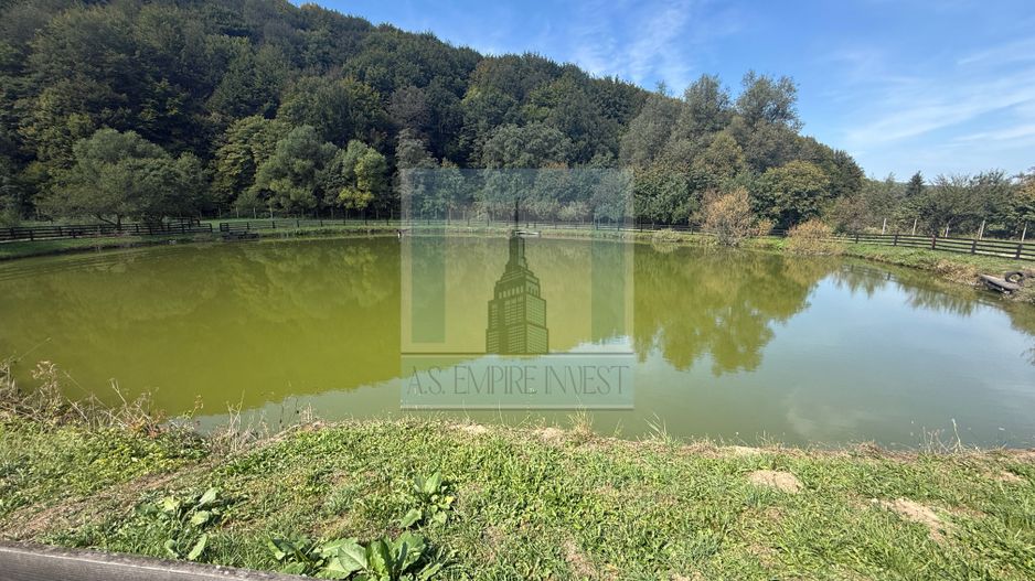 Complex Turistic activ,  2 lacuri ,teren 16800 mp -zona Valea Dobârlău - Poză 18