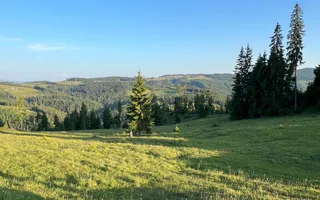 50 hectare teren | Moldova-Sulita | Potential turistic si agricol - Poză 17