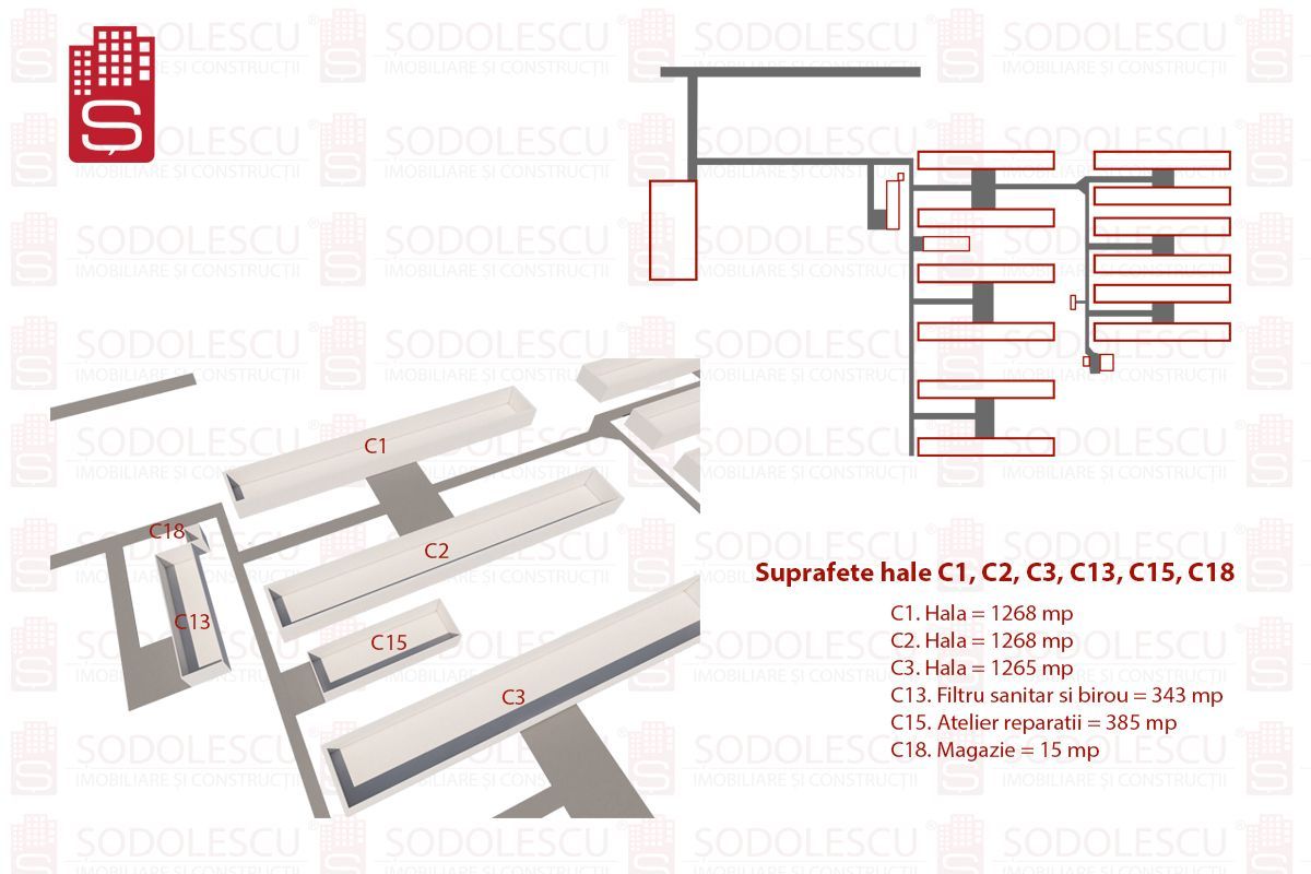 Vanzare hale Mosnita Noua-fosta Ferma 7 - Poză 4