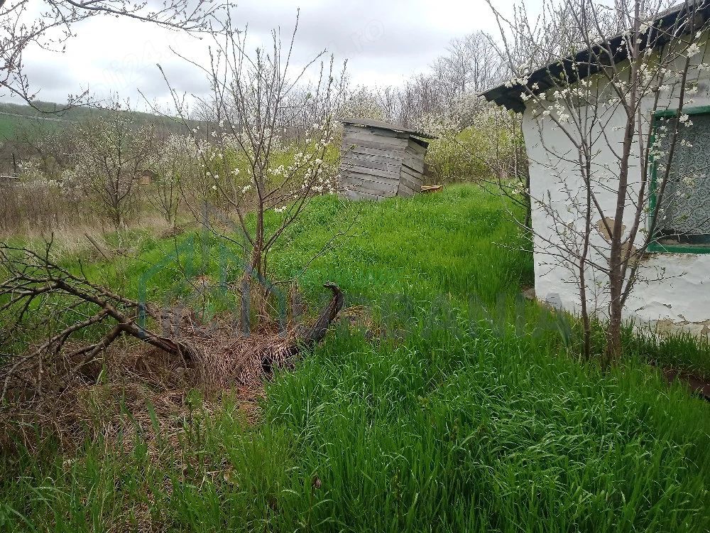Casă și teren în Sat Cuza Vodă, comuna Popricani - Poză 4