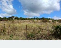 Teren intravilan 500 mp – Tomești, Chicerea – utilități, parcelat - Poză 5