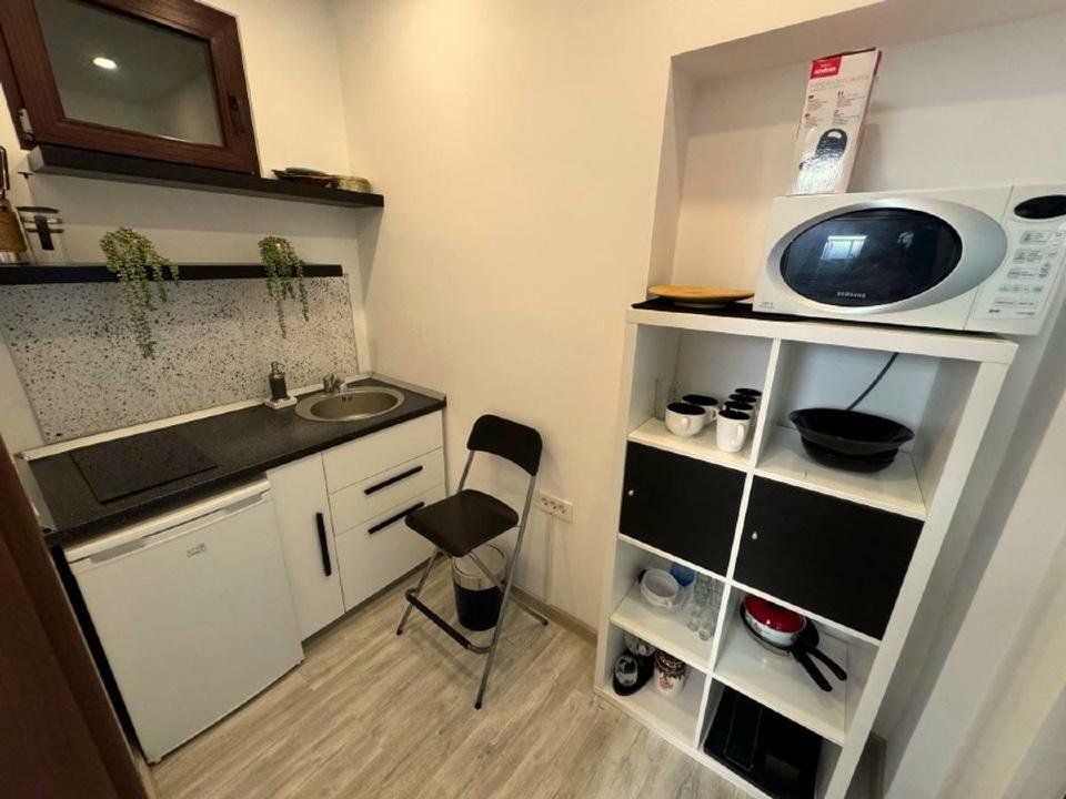 APARTAMENT VILA  DOROBANTI CAPITALE - Poză 10