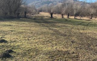 Teren de vânzare, 2.500 mp, Prisaca Dornei, zona Hurghiș, Câmpulung Moldovenesc - Poză 8