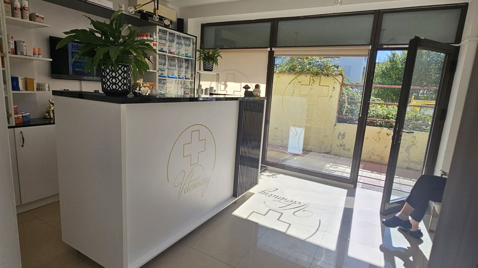 OCAZIE Spatiu Comercial Herastrau/Aviatiei - Poză 1