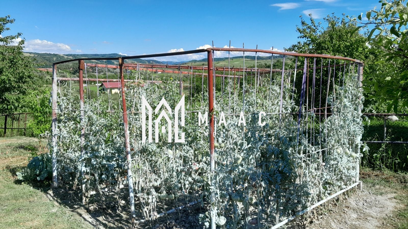 Casa individuala | 4 camere | Teren 2000 MP | Seica Mare - Poză 4