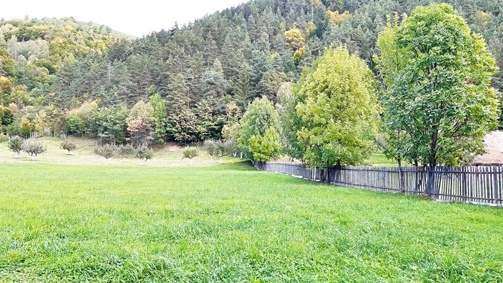 Teren superb de 16240mp, parcelabil, in Bran la intrare in Moeciu de Jos - Poză 7