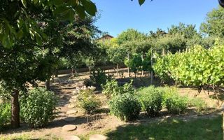 Proprietate deosebită în Aroneanu – 2 case pe teren generos de 1209 mp - Poză 5