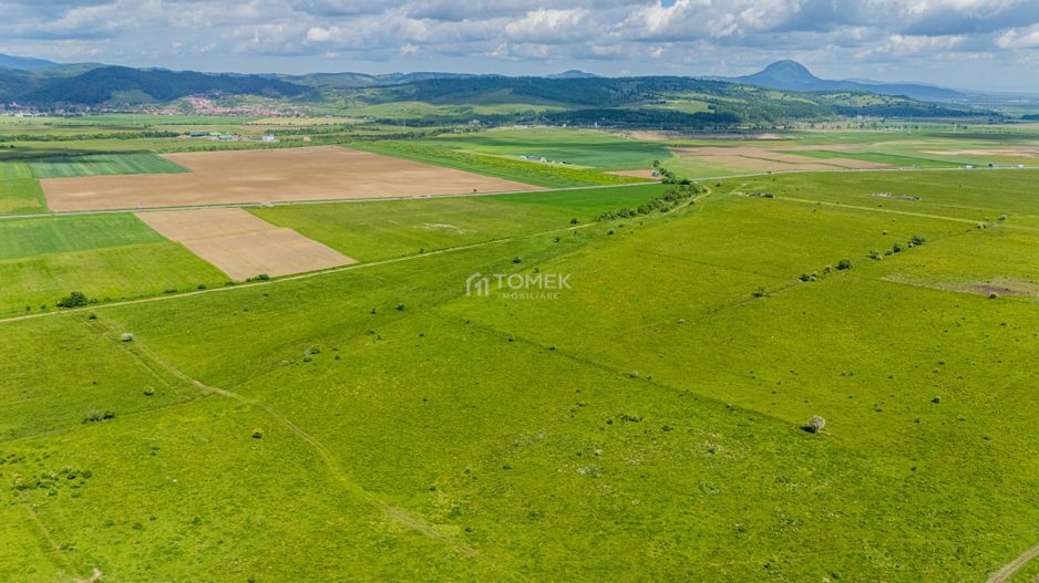Teren de investiție în zona Tohanul Nou - Bran  5.800 mp - Poză 13
