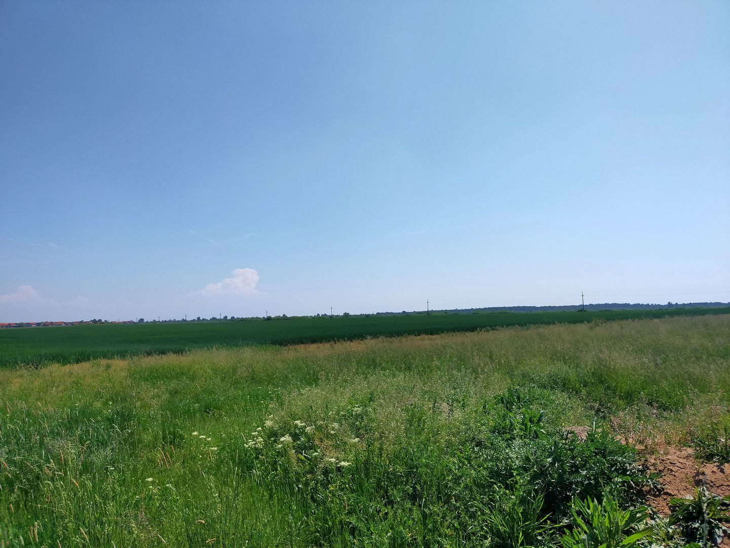 Teren extravilan agricol în Urseni - Poză 3