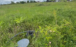 Teren intravilan Dealul Lavandei din Beldiceanu spre Săldăbagiu - Poză 5