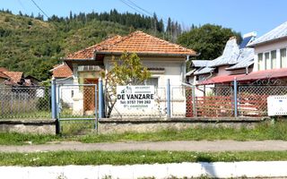 CASĂ 4 CAMERE TEREN 1316 MP LEREȘTI ARGEȘ - Poză 1