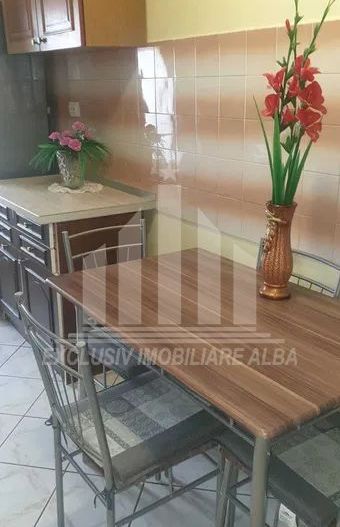 Apartament cu 2 camere decomandate, Cetate-Mercur - Poză 3