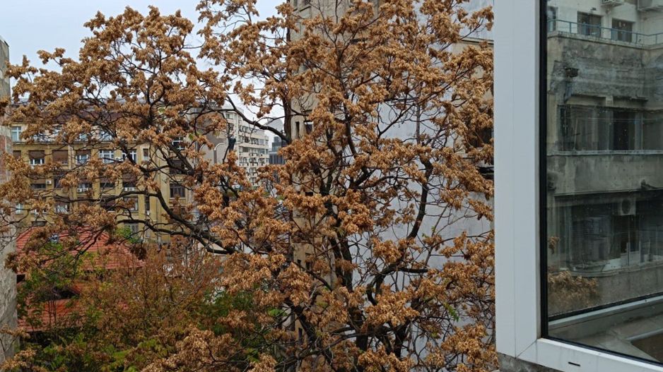 Inchiriem apartament complet renovat zona Universitatii - Poză 25