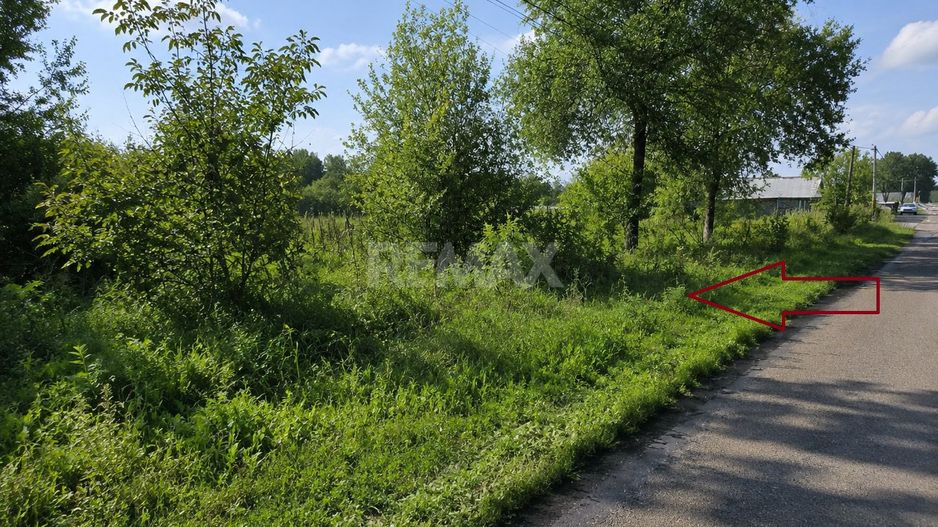 Teren pentru construcții – 33 ari, Botnăreștii Noi, Raionul Anenii Noi - Poză 3