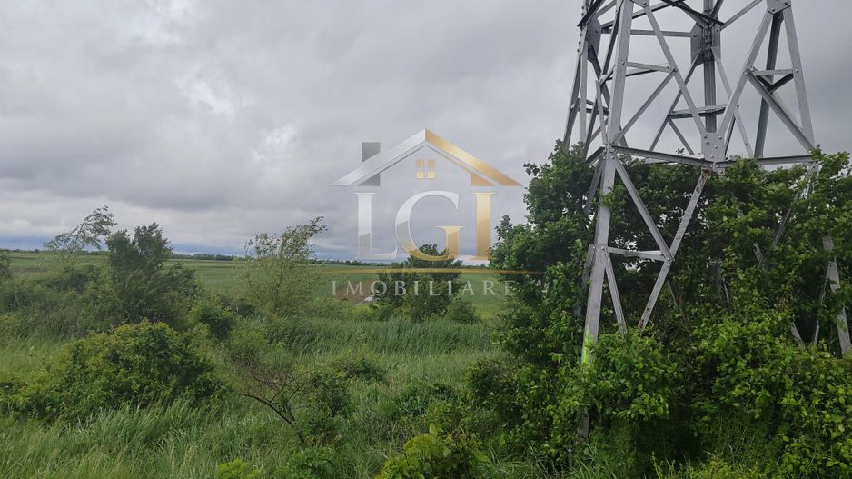 Teren intravilan 11.173 mp -  300.000 Euro -  Bungetu DN 71 - Poză 6